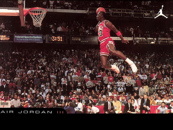 Basketball Michael Jordan Dunk, leisure activity, large group of people, chicago bulls, stadium Free HD Wallpaper