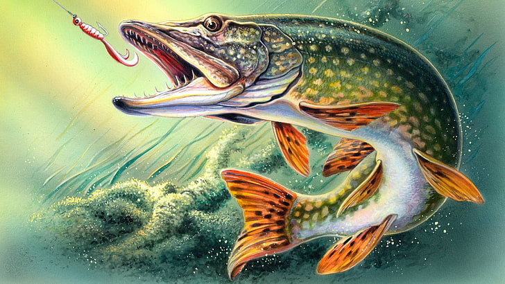 Bass Fishing Art, freshness, underwater, seafood, sea life Free HD Wallpaper