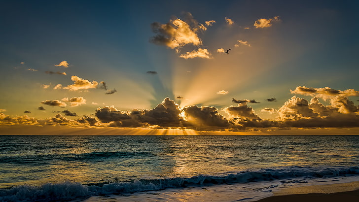 Beach Sunrise, idyllic, beautiful, beach, florida Free HD Wallpaper