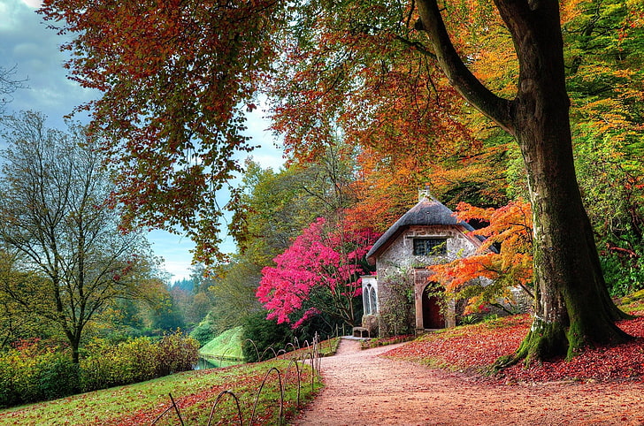 Beautiful Church, change, dirt road, fall, trunk Free HD Wallpaper