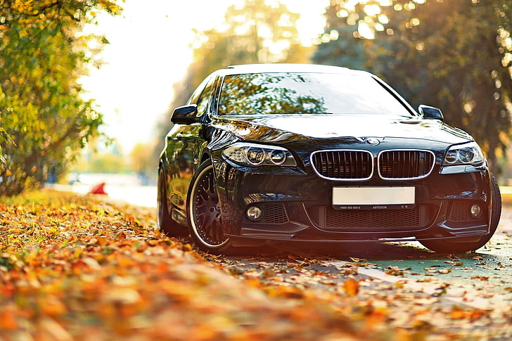 BMW M5, plant part, fall, field, wheel Free HD Wallpaper