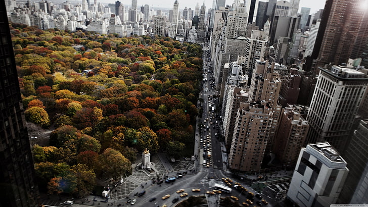 Central Park Manhattan, change, mode of transportation, birds eye view, travel