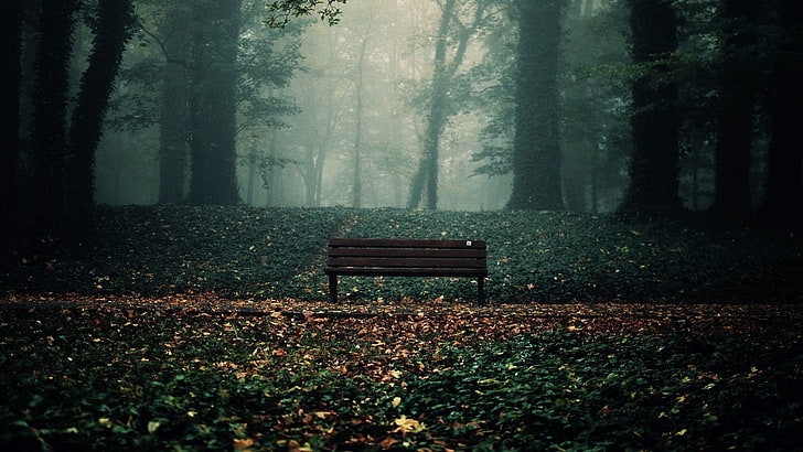 Dark and Gloomy, autumn, park bench, nature, land Free HD Wallpaper
