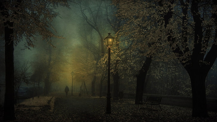 Dark Autumn Fairy Forest, spooky, lighting equipment, mist, tranquility