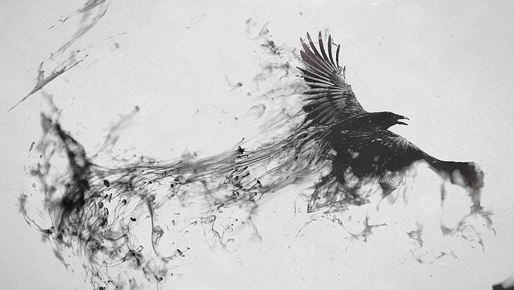 Dark Raven Bird Drawings, creativity, old, animals in the wild, raven Free HD Wallpaper