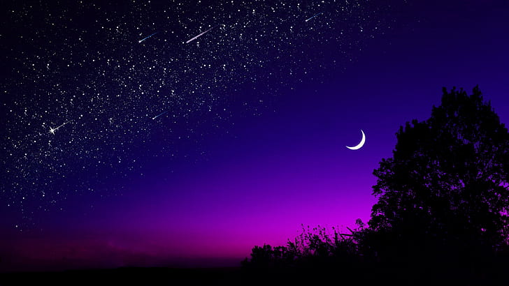 Dark Starry Night Sky, shooting star, midnight, tree, night sky Free HD Wallpaper
