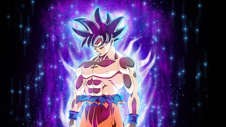 Instinct Ultra Goku Super Dragon Ball, indoors, dress, beauty, females Free HD Wallpaper