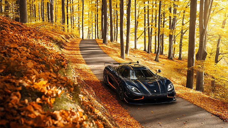 Koenigsegg Agera R Black, land vehicle, sports car, plant, tree trunk Free HD Wallpaper