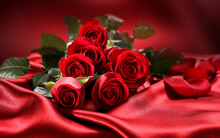 Love & Romance Flowers, day, bouquet, valentine, roses Free HD Wallpaper