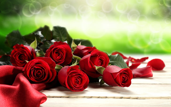 Mother's Day Single Rose, roses, day, red roses, valentines day Free HD Wallpaper