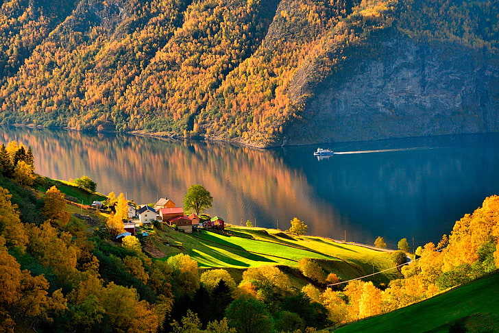 Norway Landscape Fall, travel, plant, norway, tranquil scene Free HD Wallpaper