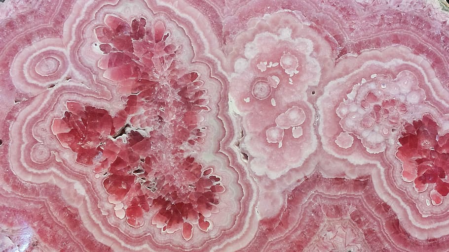 Pink Crystal, geode, indoors, biology, closeup Free HD Wallpaper