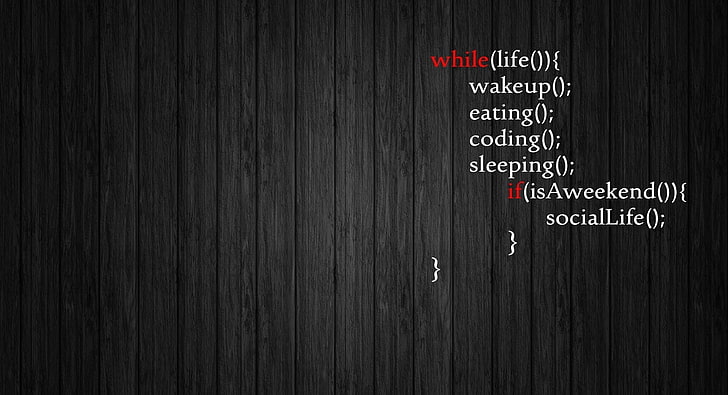 Programming, black color, typography, education, message Free HD Wallpaper