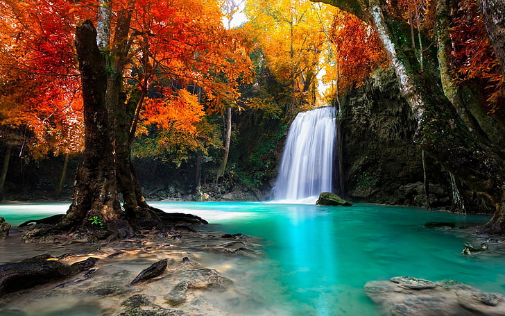 Rainbow Waterfall, tropical rainforest, season, power in nature, national park Free HD Wallpaper