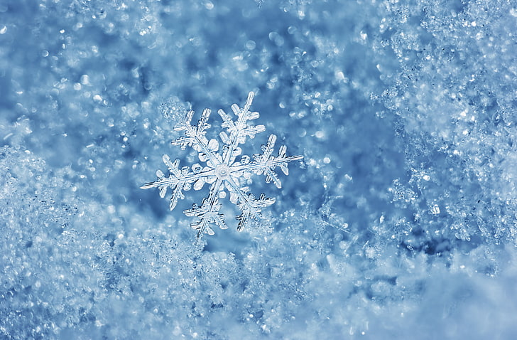 Real Snowflake Patterns, blue, humor, december, peeling off Free HD Wallpaper