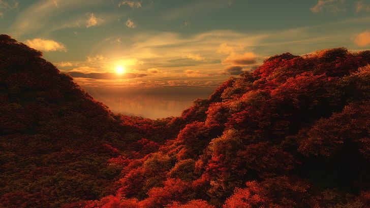Red Autumn Forest, morning, sun, beauty in nature, multi colored