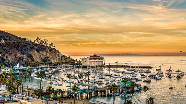 Santa Catalina Island California Hotels, scenics  nature, avalon, california, outdoors Free HD Wallpaper