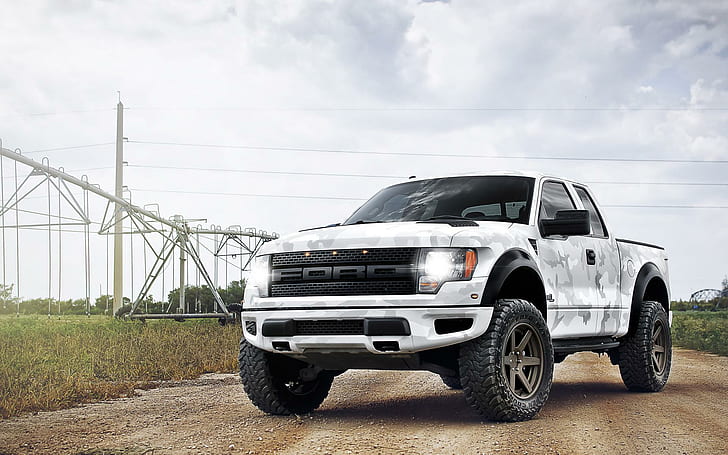 Silver Ford Raptor, cars, arctic, raptor, camo Free HD Wallpaper