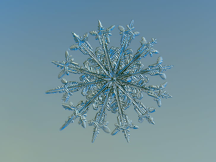 Snow Macro Photography, fine, microscopic, snowflakes, ice Free HD Wallpaper
