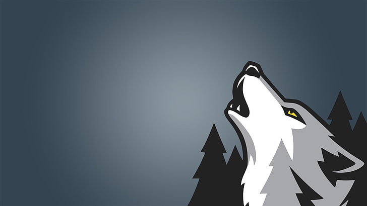 Timberwolves Colors, city, day, copy space, flying Free HD Wallpaper