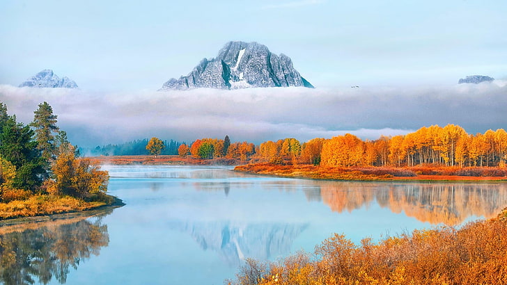 Visit Grand Teton National Park, scenics  nature, scenics, yellow, outdoors Free HD Wallpaper