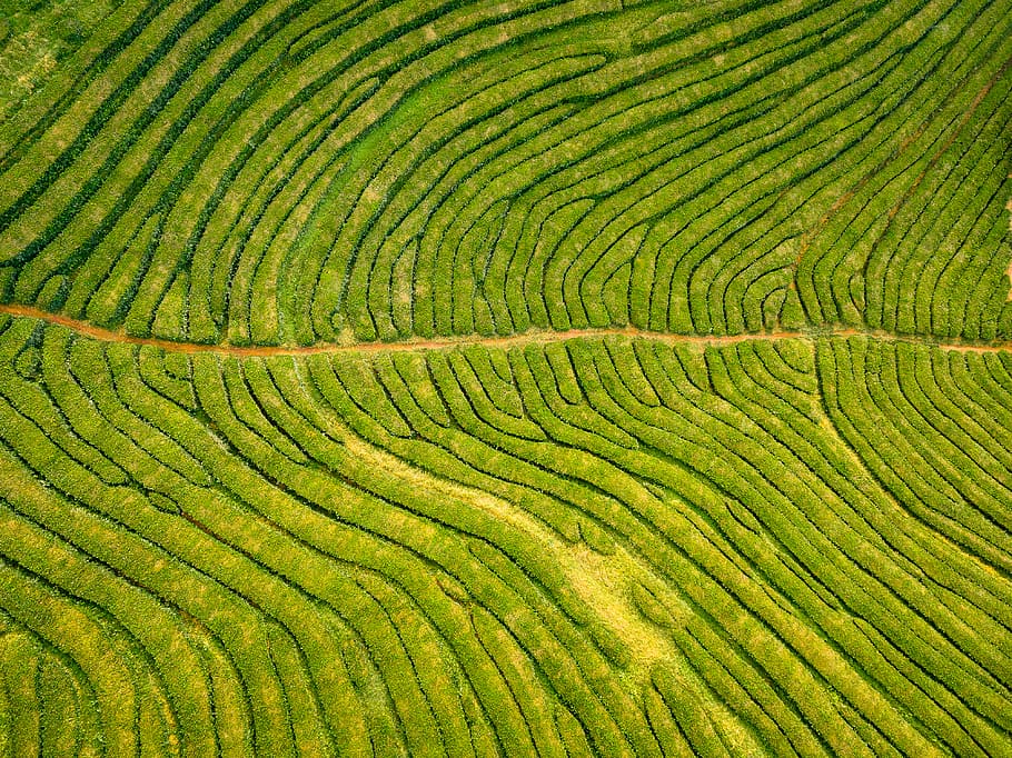 Aerial Photography, farm, growth, full frame, no people Free HD Wallpaper