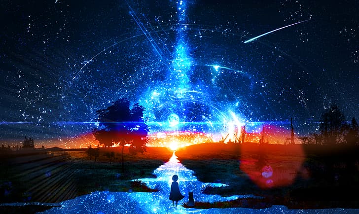 Anime Star Sky, night, outdoors, fantasy art, cats