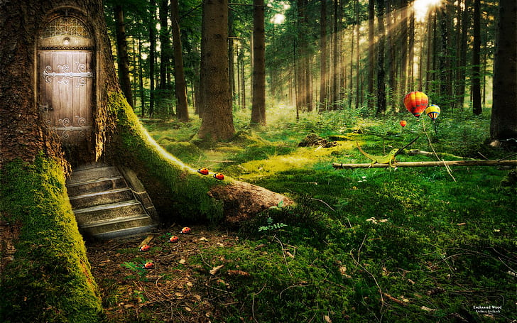 Enchanted Forest Book, Forest, dreamy, enchanted, forest Free HD Wallpaper