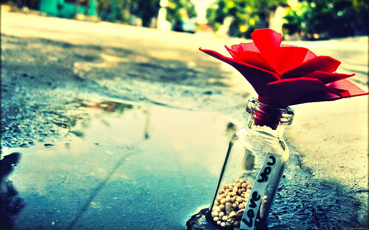 Love You Emoticon, glass, street, rose, water Free HD Wallpaper