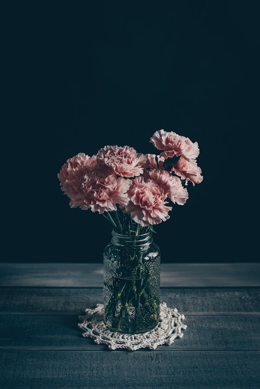 nature, minimal, flower head, carnation Free HD Wallpaper