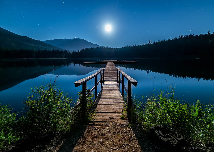 Peaceful Nature Scenes at Night, nobody, tree, view, outdoor