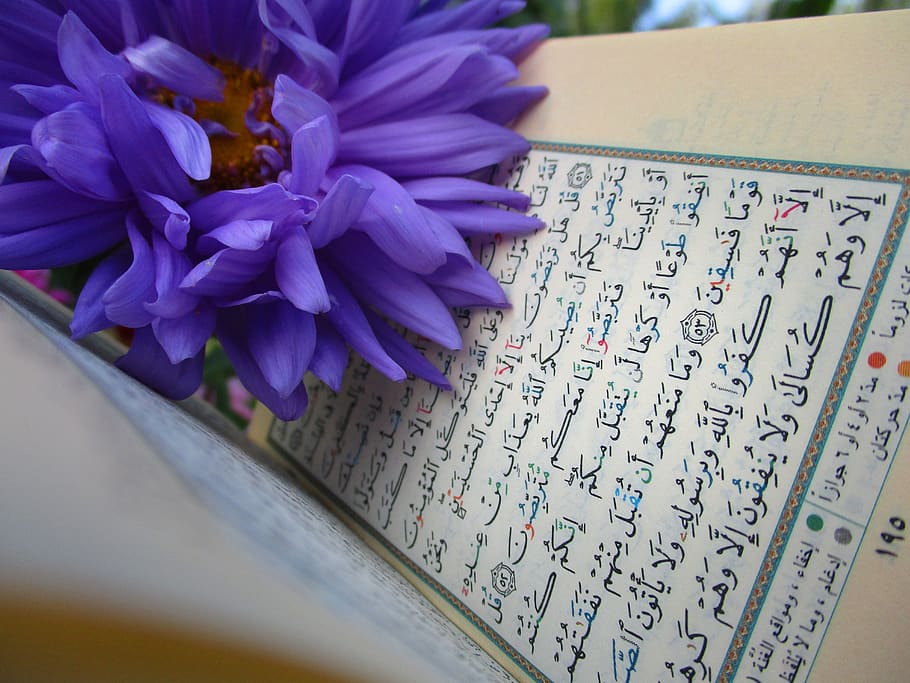 Quran Reading Pen, indoors, astra, vulnerability, muslim Free HD Wallpaper