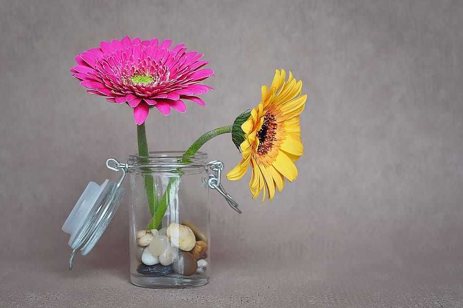 Removable Designs, deco, spring, spring flowers, pitcher  jug Free HD Wallpaper