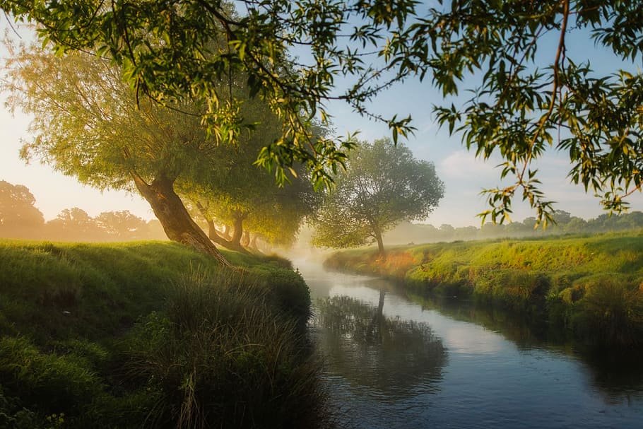 River, enchanted, water, natural, stream Free HD Wallpaper