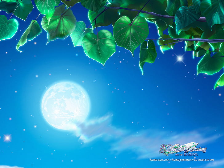 sky, blue, moon, kagaya Free HD Wallpaper