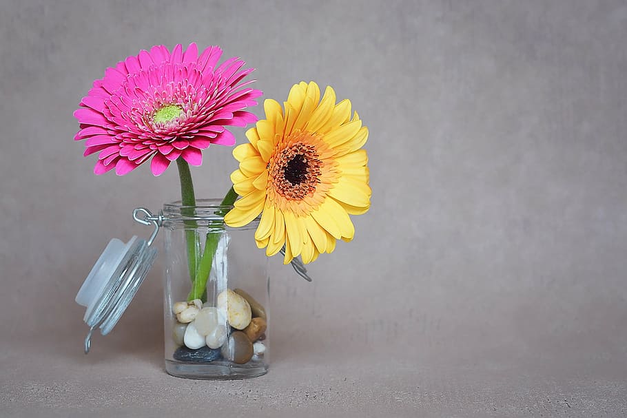 spring, indoors, sunflower, bunch of flowers Free HD Wallpaper