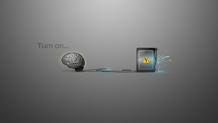 Vector Otak, coin, wealth, brain, gray background Free HD Wallpaper