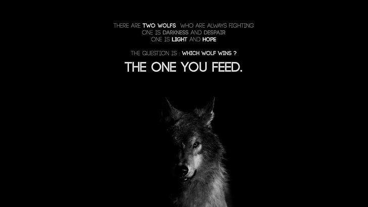 Awesome Wolf Quotes, vertebrate, animal themes, western script, dark Free HD Wallpaper