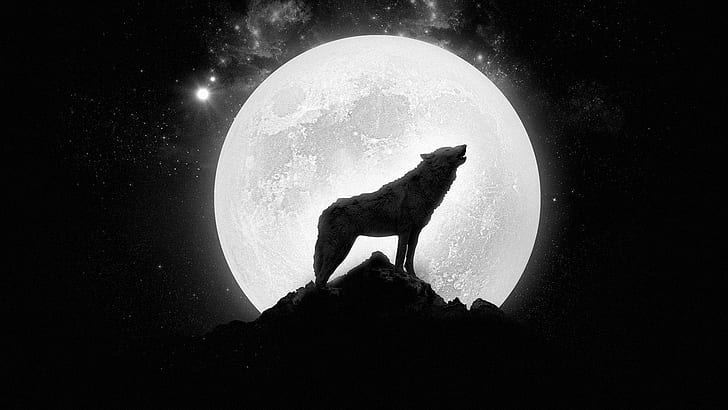 Black Wolf Howling at the Moon, art, the, star, cliff