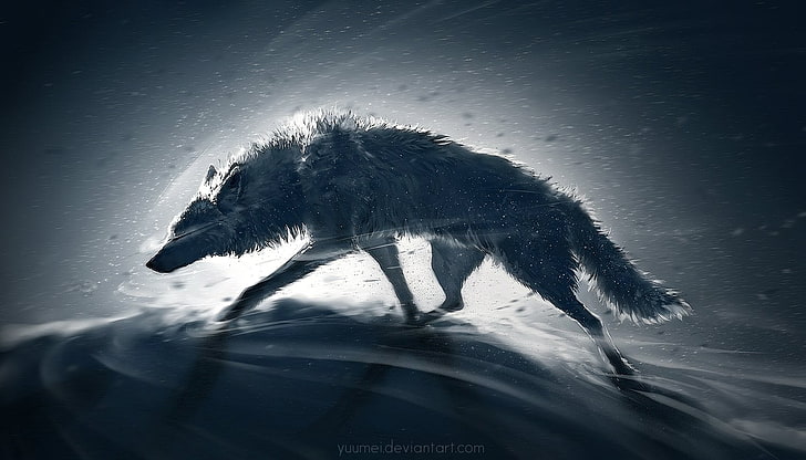 Epic Wolf Art, sea, water, domestic animals, outdoors Free HD Wallpaper