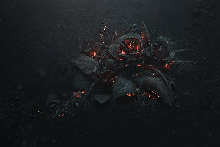 flowers, burning, abstract, black Free HD Wallpaper