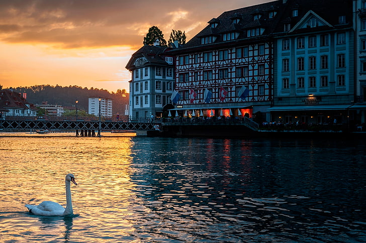 harbor, building exterior, sky, dusk Free HD Wallpaper