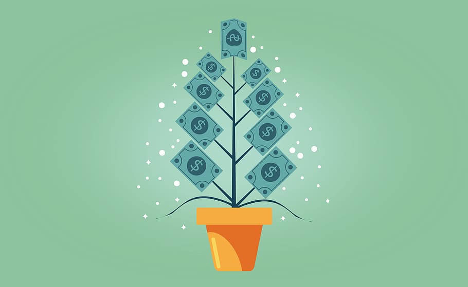 Money Tree, equipment, colored background, mutual, success