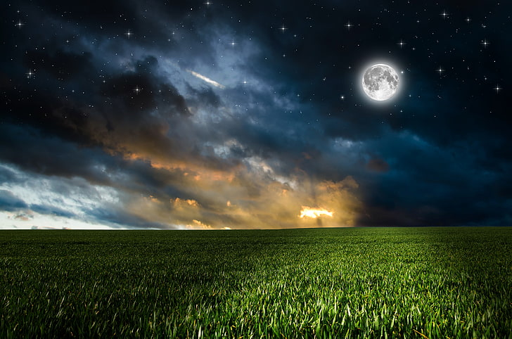 Night Sky HD, summer, nebula, star  space, horizon over land Free HD Wallpaper