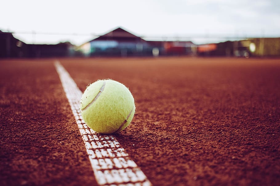 Pink Tennis Court, boundary line, tennis ball, focus on foreground, green color Free HD Wallpaper