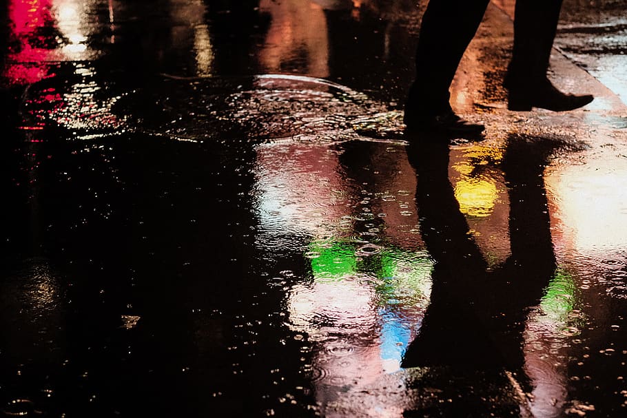 raindrop, human leg, pond lily, day Free HD Wallpaper