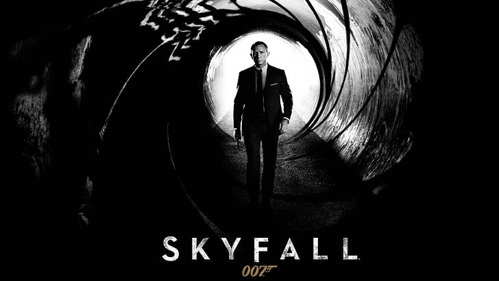 Skyfall DVD, technology, lifestyles, wall  building feature, one person