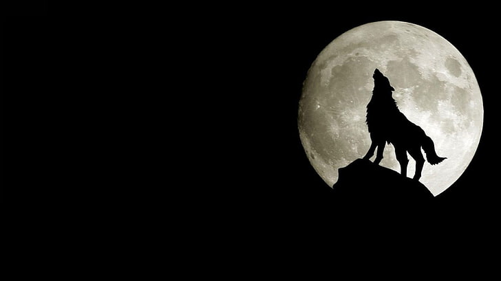 Wolf Howling at the Moon Sketch, beauty in nature, no people, moonlight, dark Free HD Wallpaper