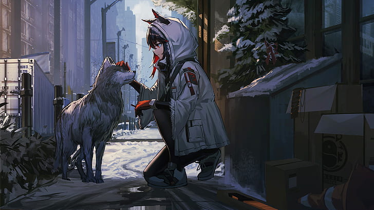 wolf, snow, arknights, black hair Free HD Wallpaper