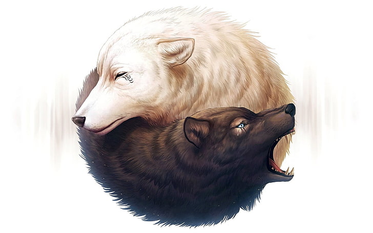 Ying Yang Wolf Tattoo, livestock, white background, side view, indoors Free HD Wallpaper